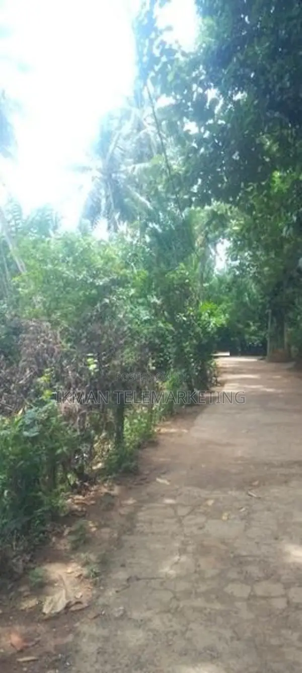 Land for Sale in Mawanella