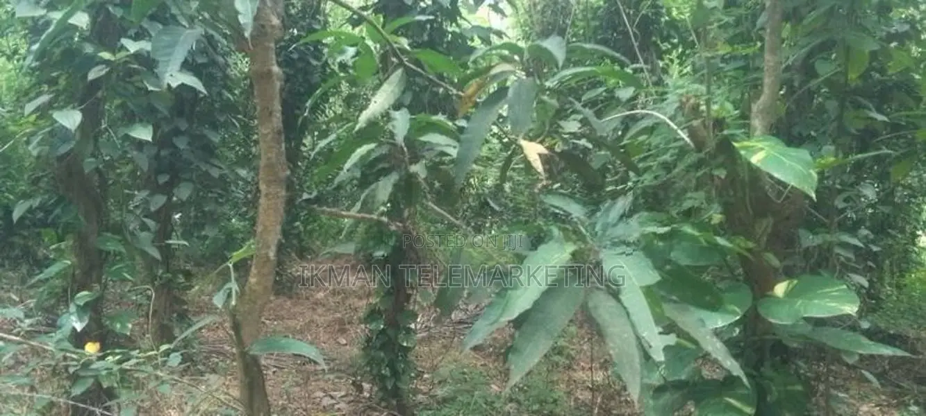 Land for Sale in Mawanella