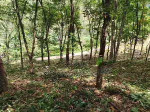 Land for Sale in Kaleliya