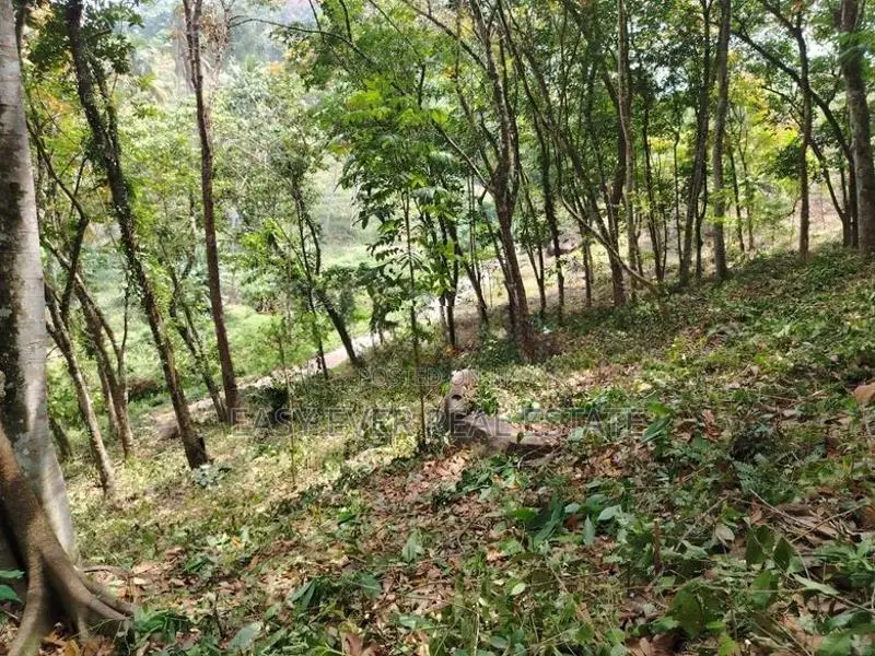 Land for Sale in Kaleliya