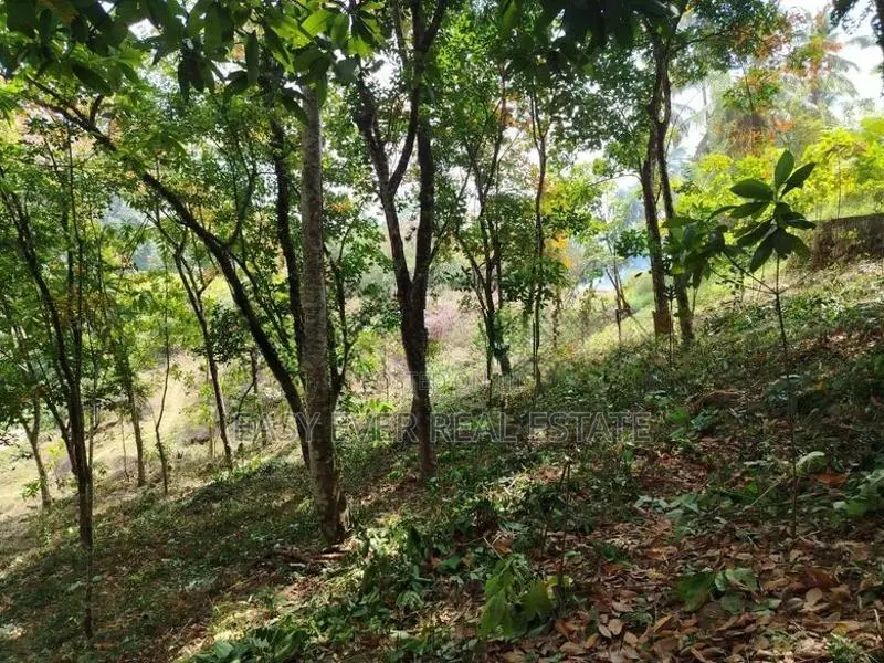 Land for Sale in Kaleliya
