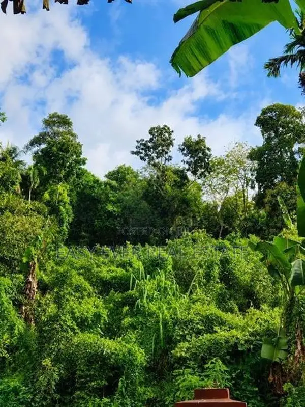 තෝලංගමුවෙන් කුරුඳු වගාවක් සමඟ වටිනා ඉඩම