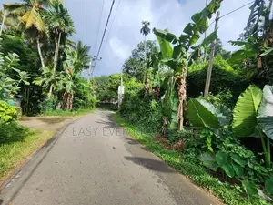 තෝලංගමුවෙන් කුරුඳු වගාවක් සමඟ වටිනා ඉඩම