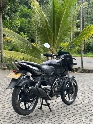 Bajaj Pulsar 150 2011