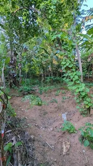 Land for Sale in Veyangoda