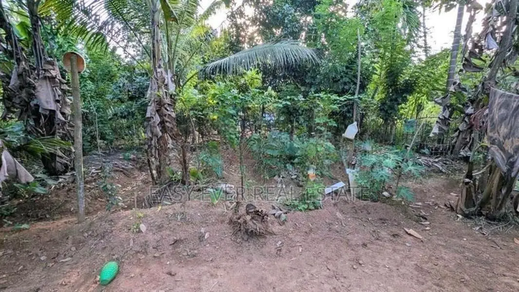 Land for Sale in Veyangoda