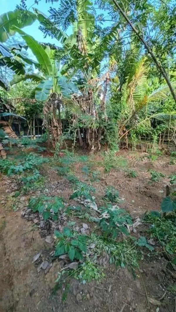 Land for Sale in Veyangoda