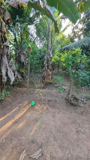 Land for Sale in Veyangoda
