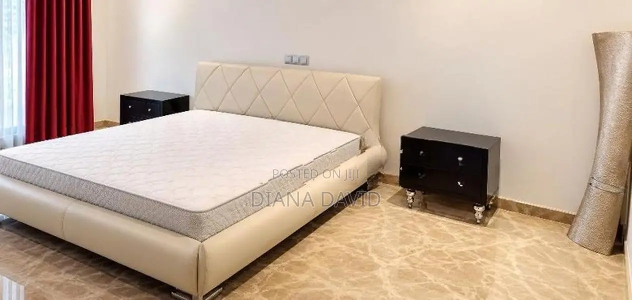Super Luxury Fully Furnished Two Story House For Rent Colombo 6