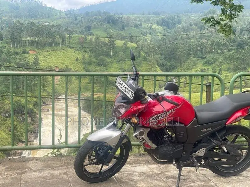 Yamaha FZ S 2015