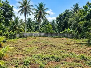 Land for Sale Horana