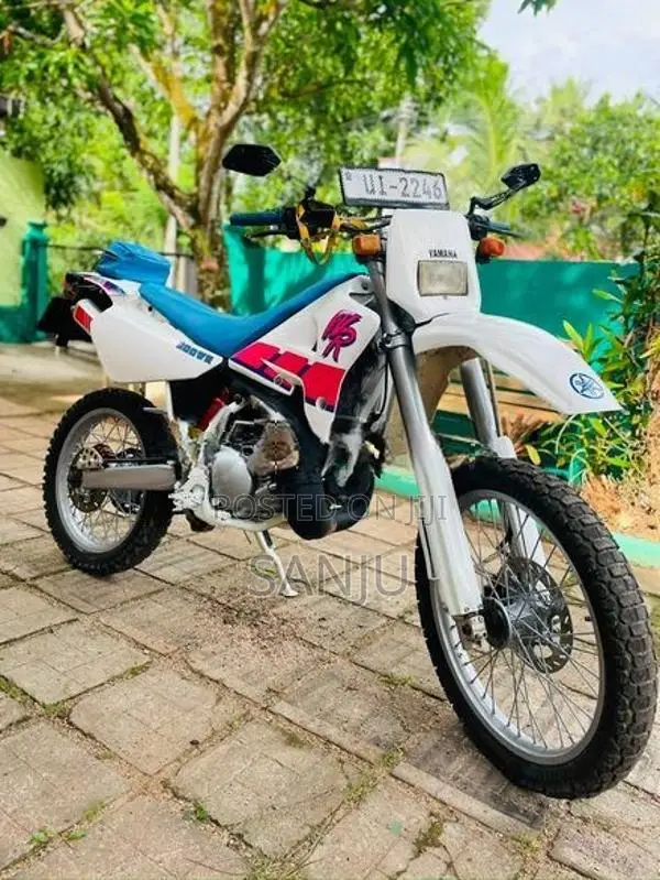 Yamaha WR 2006