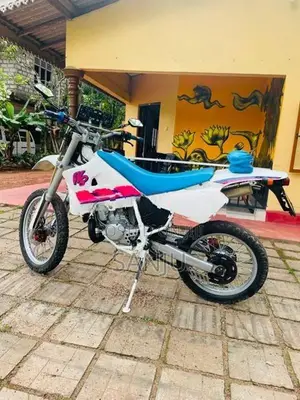 Yamaha WR 2006