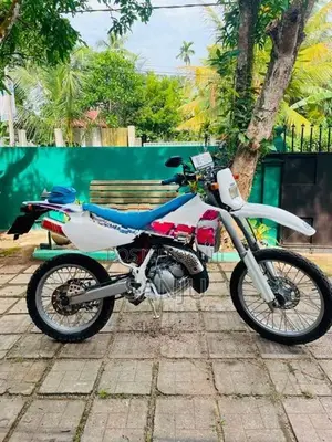 Yamaha WR 2006