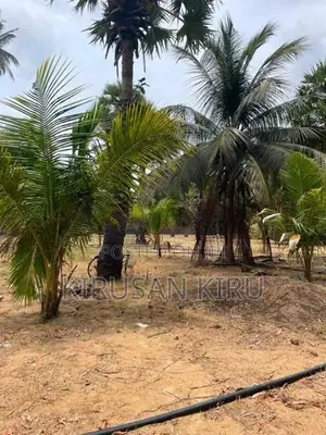 Land for Sale Jaffna