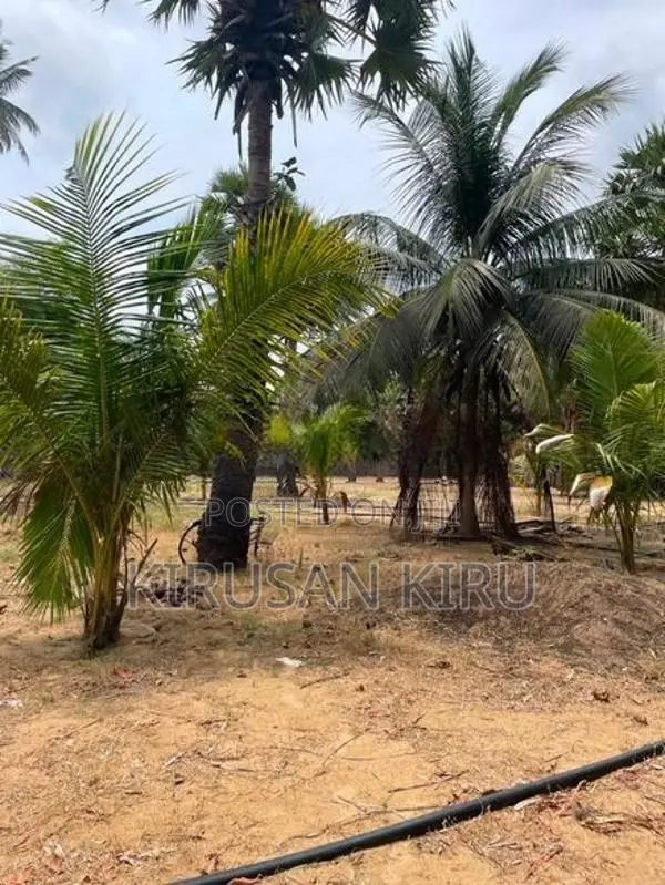 Land for Sale Jaffna