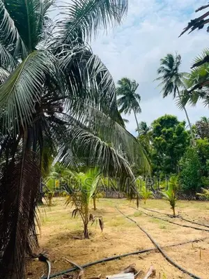Land for Sale Jaffna