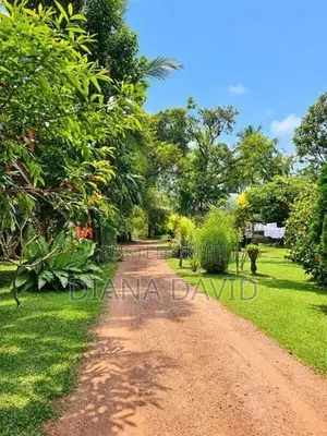 Prime Residential Land For Sale Boralesgamuwa