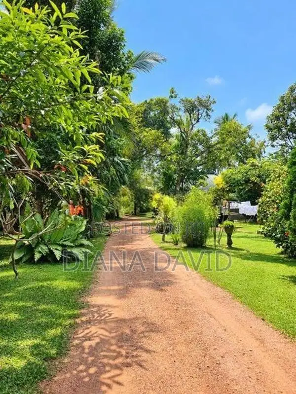 Prime Residential Land For Sale Boralesgamuwa