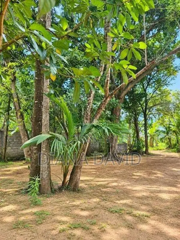 Prime Residential Land For Sale Boralesgamuwa