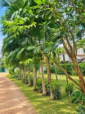 Prime Residential Land For Sale Boralesgamuwa