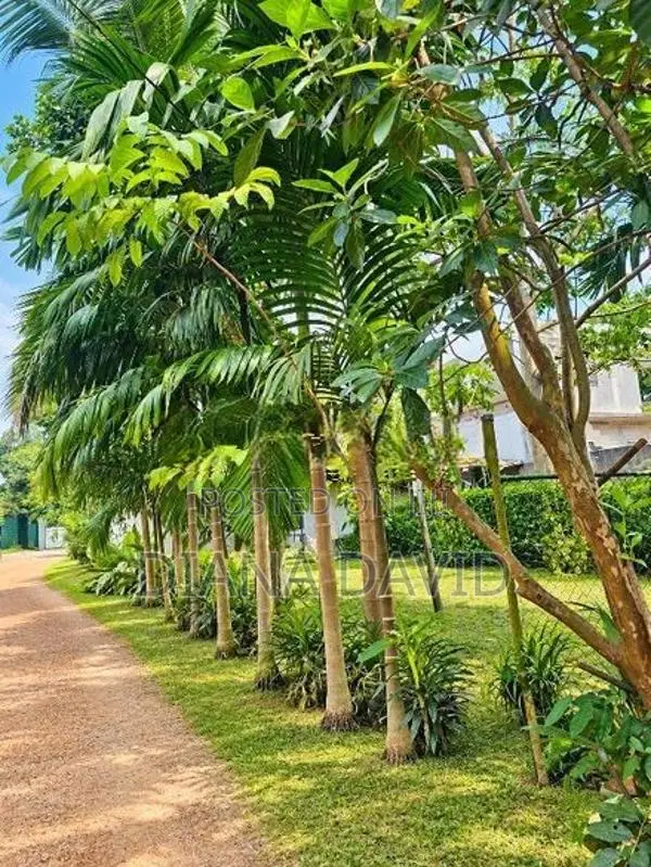 Prime Residential Land For Sale Boralesgamuwa
