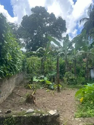 Prime Residential Land for Sale – Thalawathugoda