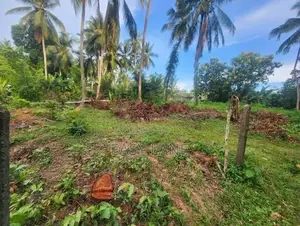 Land for Sale in Kalagedihena