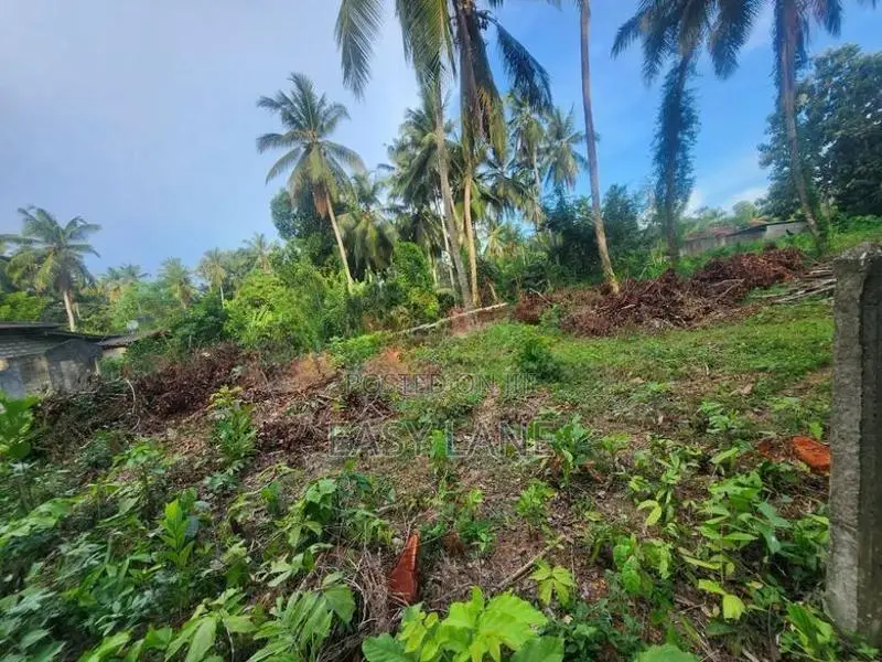 Land for Sale in Kalagedihena