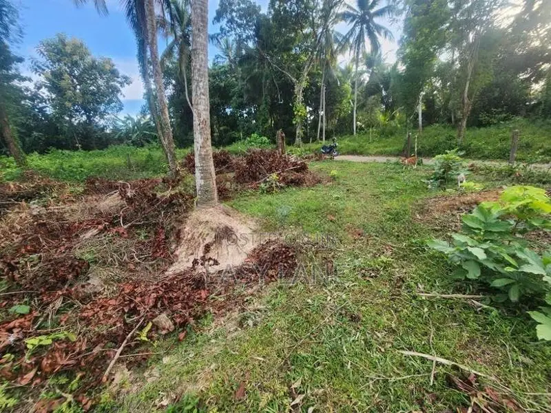 Land for Sale in Kalagedihena