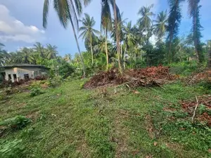 Land for Sale in Kalagedihena