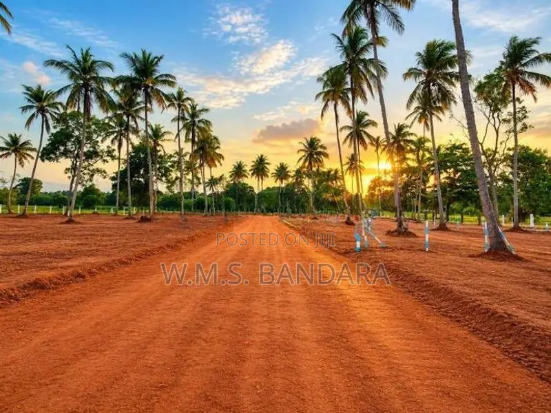 Wariyapola Padeniya Residential Land Plots for Sale