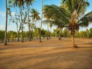 Wariyapola Padeniya Residential Land Plots for Sale
