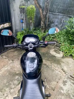 Bajaj Pulsar 150 2007