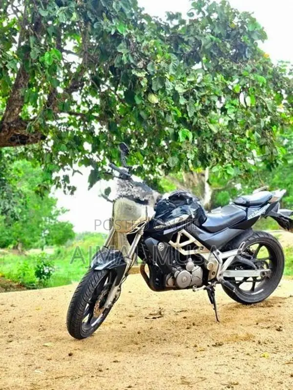 Demak DZM 2015