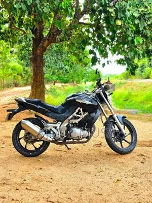 Demak DZM 2015