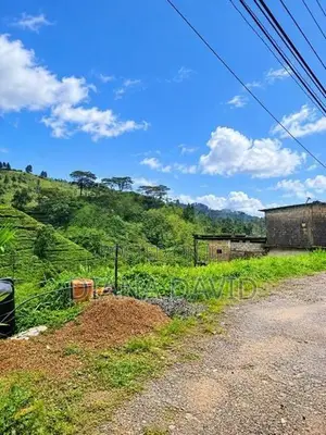 Land for Sale - Hatton