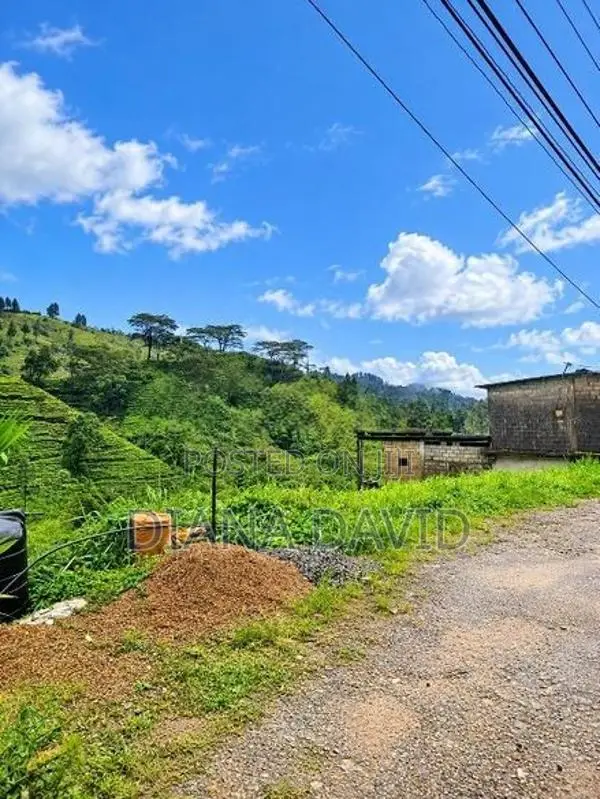 Land for Sale - Hatton
