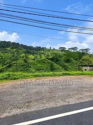 Land for Sale - Hatton