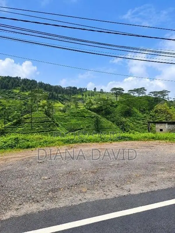 Land for Sale - Hatton
