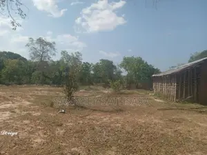 අම්පාර ගොනාගොල්ල බන්ඩරදූව පාරේ සිට 100m අතුලට තිබෙන ඉඩමක් විකිනිමට