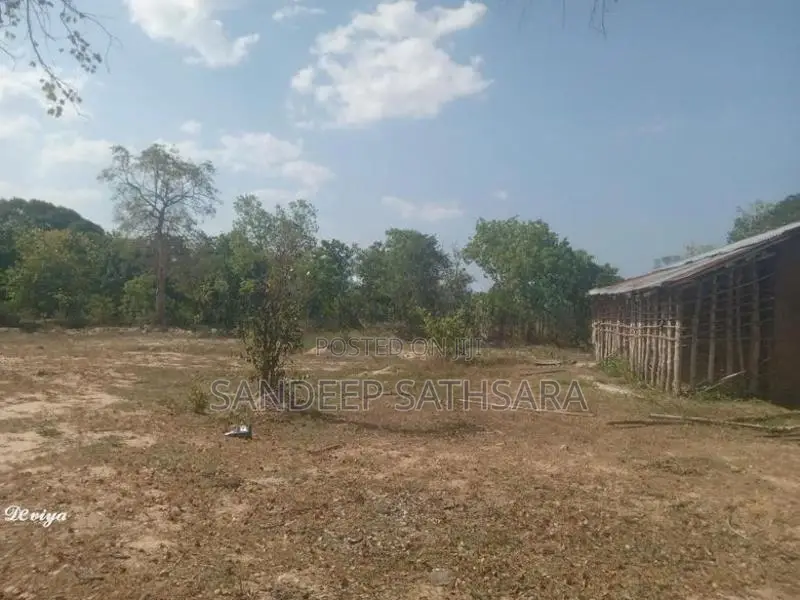අම්පාර ගොනාගොල්ල බන්ඩරදූව පාරේ සිට 100m අතුලට තිබෙන ඉඩමක් විකිනිමට