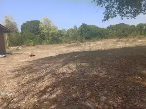 අම්පාර ගොනාගොල්ල බන්ඩරදූව පාරේ සිට 100m අතුලට තිබෙන ඉඩමක් විකිනිමට