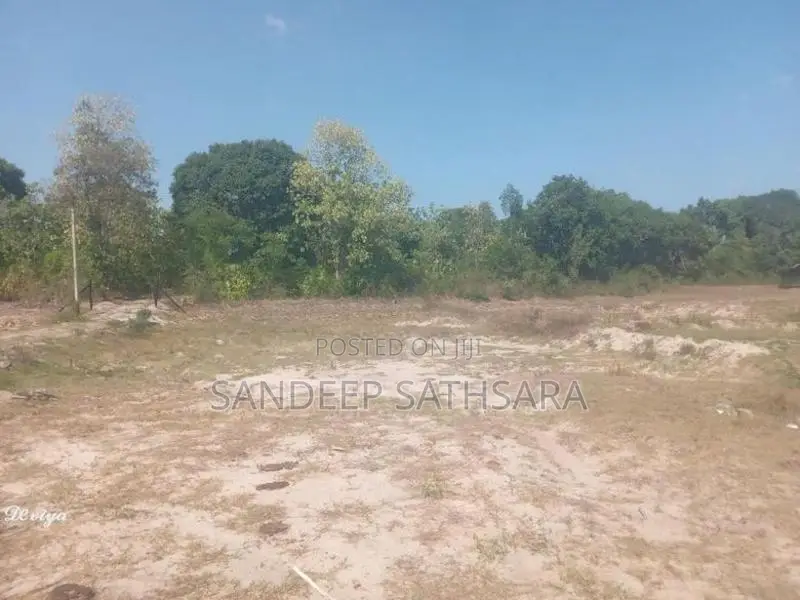 අම්පාර ගොනාගොල්ල බන්ඩරදූව පාරේ සිට 100m අතුලට තිබෙන ඉඩමක් විකිනිමට