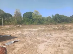 අම්පාර ගොනාගොල්ල බන්ඩරදූව පාරේ සිට 100m අතුලට තිබෙන ඉඩමක් විකිනිමට