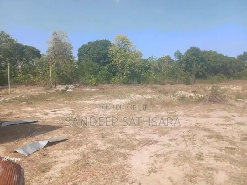 අම්පාර ගොනාගොල්ල බන්ඩරදූව පාරේ සිට 100m අතුලට තිබෙන ඉඩමක් විකිනිමට
