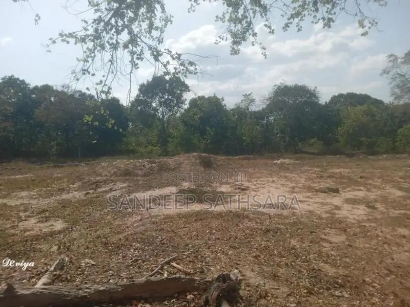 අම්පාර ගොනාගොල්ල බන්ඩරදූව පාරේ සිට 100m අතුලට තිබෙන ඉඩමක් විකිනිමට