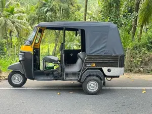 Piaggio Ape 2013