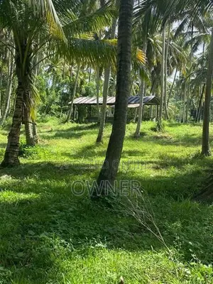 වාරියපොල අගනා ඉඩමක් විකිණීමට