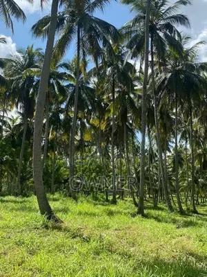 වාරියපොල අගනා ඉඩමක් විකිණීමට